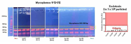 세포외소포 오염물질 평가: Mycoplasma 부정시험, endotoxin detection assay