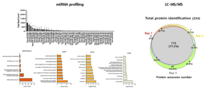 세포외소포 내부인자 평가: miRNA profiling, LC-MS/MS