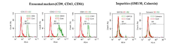 UC-MSC 세포외소포의 순도 평가