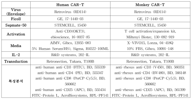 Monkey CAR-T와 human CAR-T의 생산 및 특성분석용 시료 비교