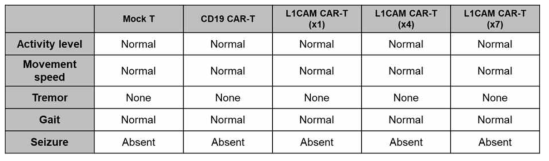 L1CAM CAR-T 투여 후 임상증상 관찰 결과