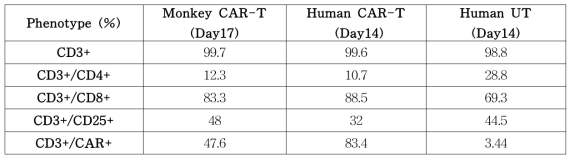 Monkey CAR-T와 human CAR-T의 특성분석 결과
