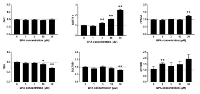 24시간 동안 BPA에 노출한 Hep G2 세포의 유전자 발현 변화. 평균±표준편차(N=4), *대조군과 유의한 차이(p<0.05)