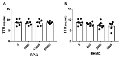 BP-3 및 EHMC에 의한 갑상선호르몬 운반단백질 TTR 변화 (N=6)
