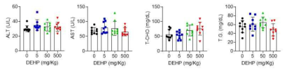 DEHP를 용량별 4주간 처리 후 간 기능 마커의 변화(N=8 per group)