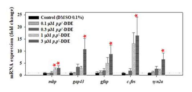 p,p’-DDE에 5일 노출 이후 제브라피시 배아/자어의 신경독성 관련 유전자 발현 변화. 평균±표준편차(N=4). *p<0.05 수준에서 유의한 차이