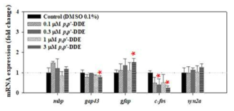 p,p’-DDE 14일 노출 이후 제브라피시 암컷 성어의 신경독성 관련 유전자 발현 변화. 평균±표준편차(n>3). *p<0.05 수준에서 유의한 차이