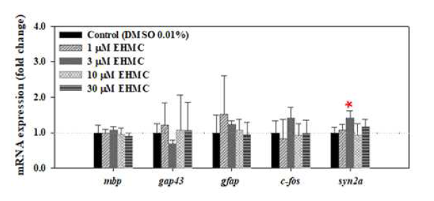 EHMC 21일 노출 이후 제브라피시 수컷 성어의 신경독성 관련 유전자 발현 변화. 평균±표준편차(N=4). *p<0.05 수준에서 유의한 차이