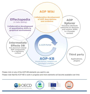 AOP-KB(AOP Knowledge Base, http://aopkb.org/)의 구성