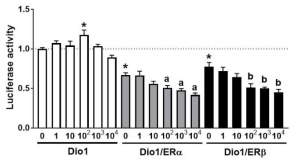 DIO1 벡터 포함 세포에 E2 투여 후 luciferase 활성도 변화