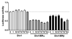 DIO1 벡터 포함 세포에서 BPA 투여 후 luciferase 활성도 변화