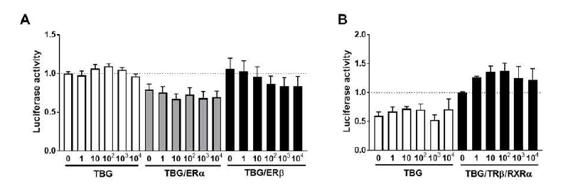 TBG 벡터 포함 세포에 E2 (A) 또는 T3 (B)를 투여 후 luciferase 활성도 변화