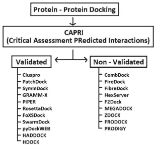 Type 별로 분류한 Protein-Protein docking 프로그램 리스트