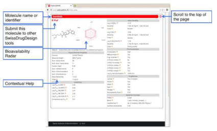 SWISS-ADME의 output 설명