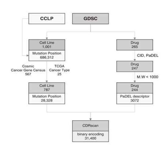 암세포주의 유전체 데이터와 항암 약물의 활성 정보를 가진 자체 통합 DB의 구성도 (Chang et al., Scientific Report 2018)