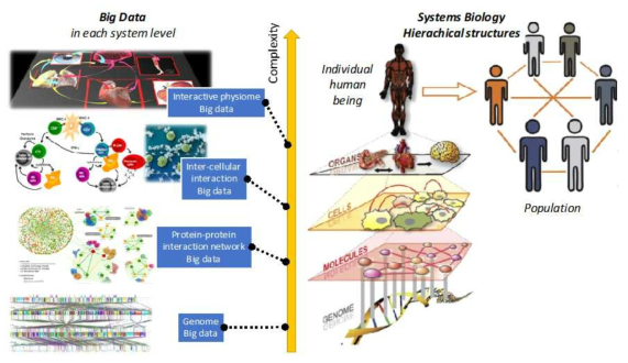 바이오빅데이터 (유전체, 단백질상호작용, 세포/조직간 상호작용, 집단유전체)