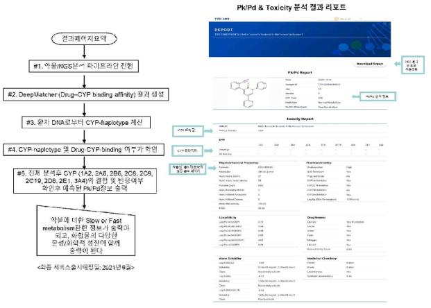 TOX-ARS Pk/Pd & Toxicity 분석 결과 리포트 이미지