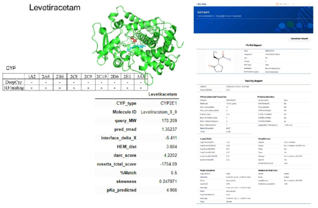 Levetiratecam 약물의 TOX-ARS 수행 결과 예상되는 레포트 예시