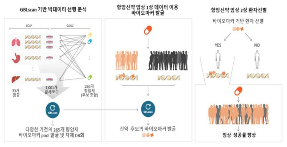 in-silico model을 이용하여 약물 반응성을 예측할 수 있는 바이오마커 발굴 진행 모식도