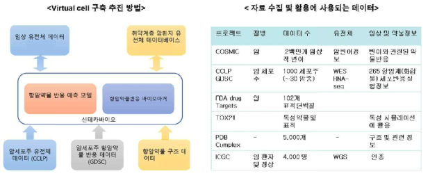 Virtual cell 구축 추진 방법과 자료수집에 데이터 정보