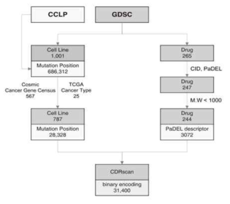 암 세포주의 유전체 데이터와 항암 약물의 활성 정보를 가진 자체 통합 DB의 구성도