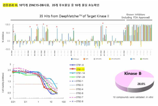 Kinase B에 대한 AI 합성신약 유효 후보물질 검증 결과