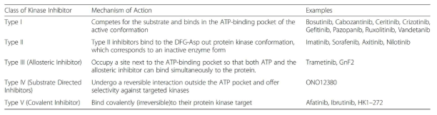 저분자 Kinase 저해제의 binding mode 분류