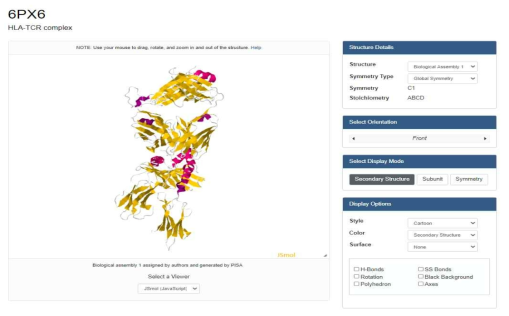 6PX6을 JSmol로 시각화한 이미지 (https://www.rcsb.org/pdb/explore/jmol.do?structureId=6px6&bionumber=1&jmolMode=HTML5)