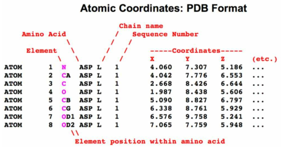 PDB 데이터 포맷설명 (https://proteopedia.org/wiki/index.php/Atomic_coordinate_file)