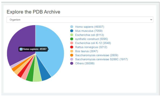 Protein Data Bank(PDB database)에 존재하는 organism별 분류 통계 (Updated by 2020/10/08)