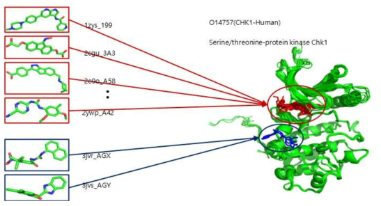 표적 단백질의 binding site 관점, 존재하는 다양한 리간드 연구 예시