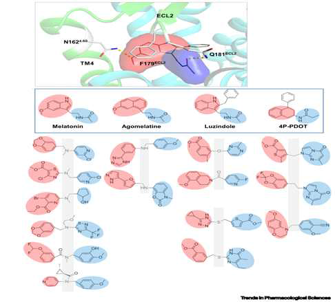 Binding site 내 pharmacophoric feature들을 활용하여 drug design