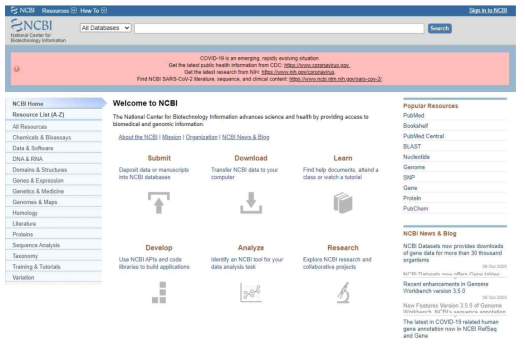 NCBI 메인 페이지