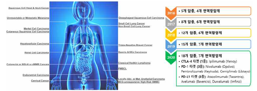 면역관문저해제의 암종별 미국 FDA 승인 현황 (2020.07)