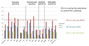 면역관문수용체 PD-1 저해제의 암종별 반응률