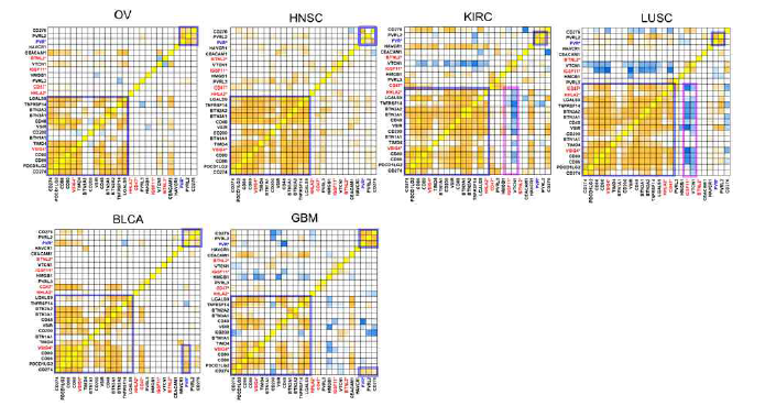 LUAD와 유사한 면역관문리간드발현 패턴을 보이는 암종 분석