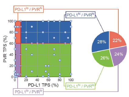 PD-L1/PVR 발현에 따른 환자분류