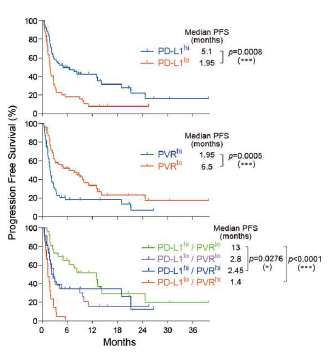 PD-L1/PVR 발현과 PFS 상관성
