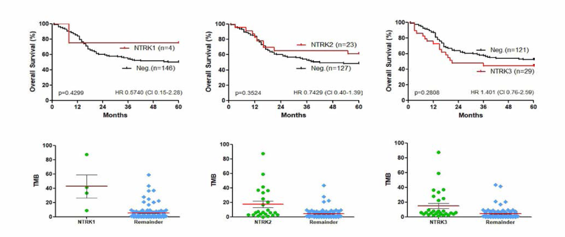 150명 위암 환자의 NTRK1/2/3 유전자 mutation에 따른 OS와 TMB 분석