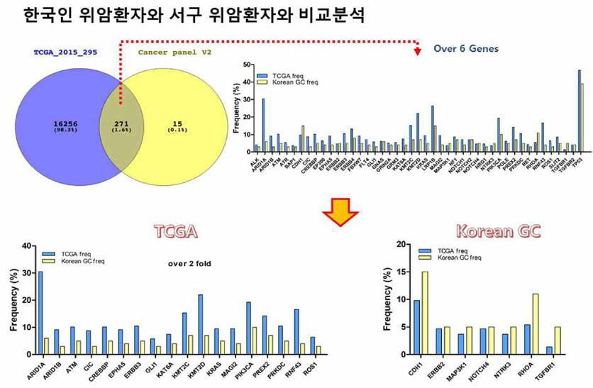 한국인 위암환자와 서구 위암환자와 빈도율 비교분석