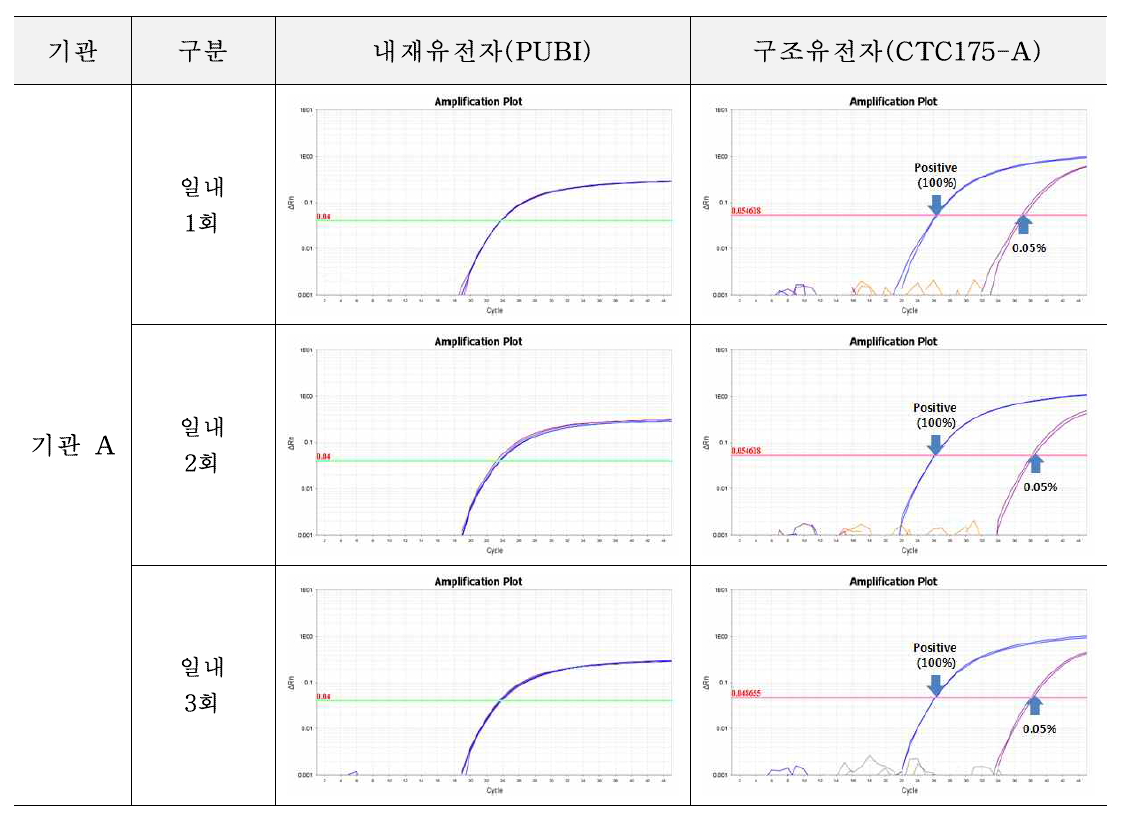 유전자변형 사탕수수 CTC175-A에 대한 시험법의 반복성 시험 결과(기관 A)