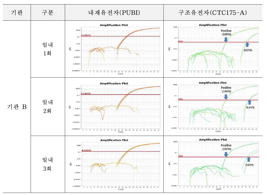 유전자변형 사탕수수 CTC175-A에 대한 시험법의 반복성 시험 결과(기관 B)