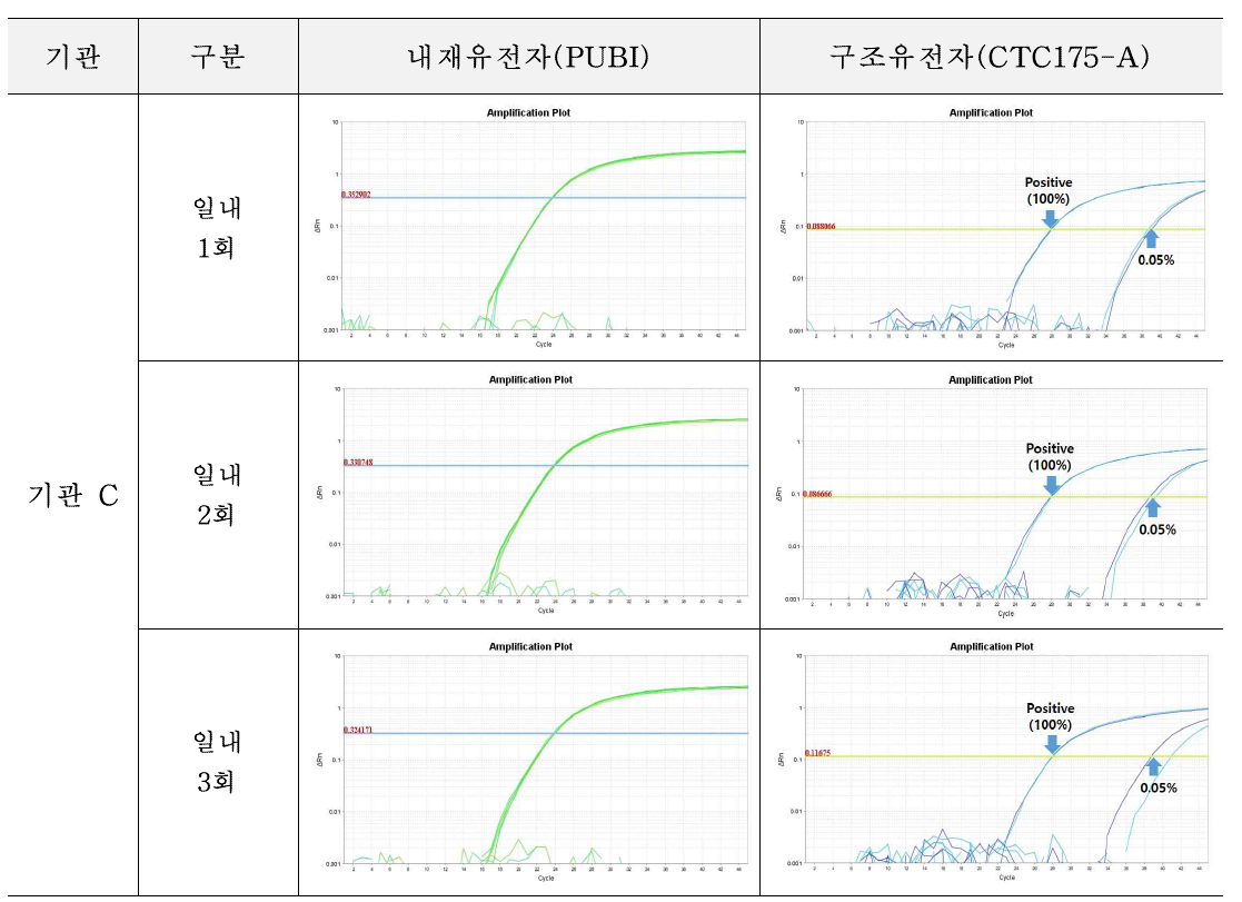 유전자변형 사탕수수 CTC175-A에 대한 시험법의 반복성 시험 결과(기관 C)