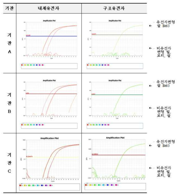 유전자변형 쌀 Bt63 시험법 및 검사키트(PSP)의 비유전자변형 밀, 보리, 쌀에 대한 특이성 시험 결과