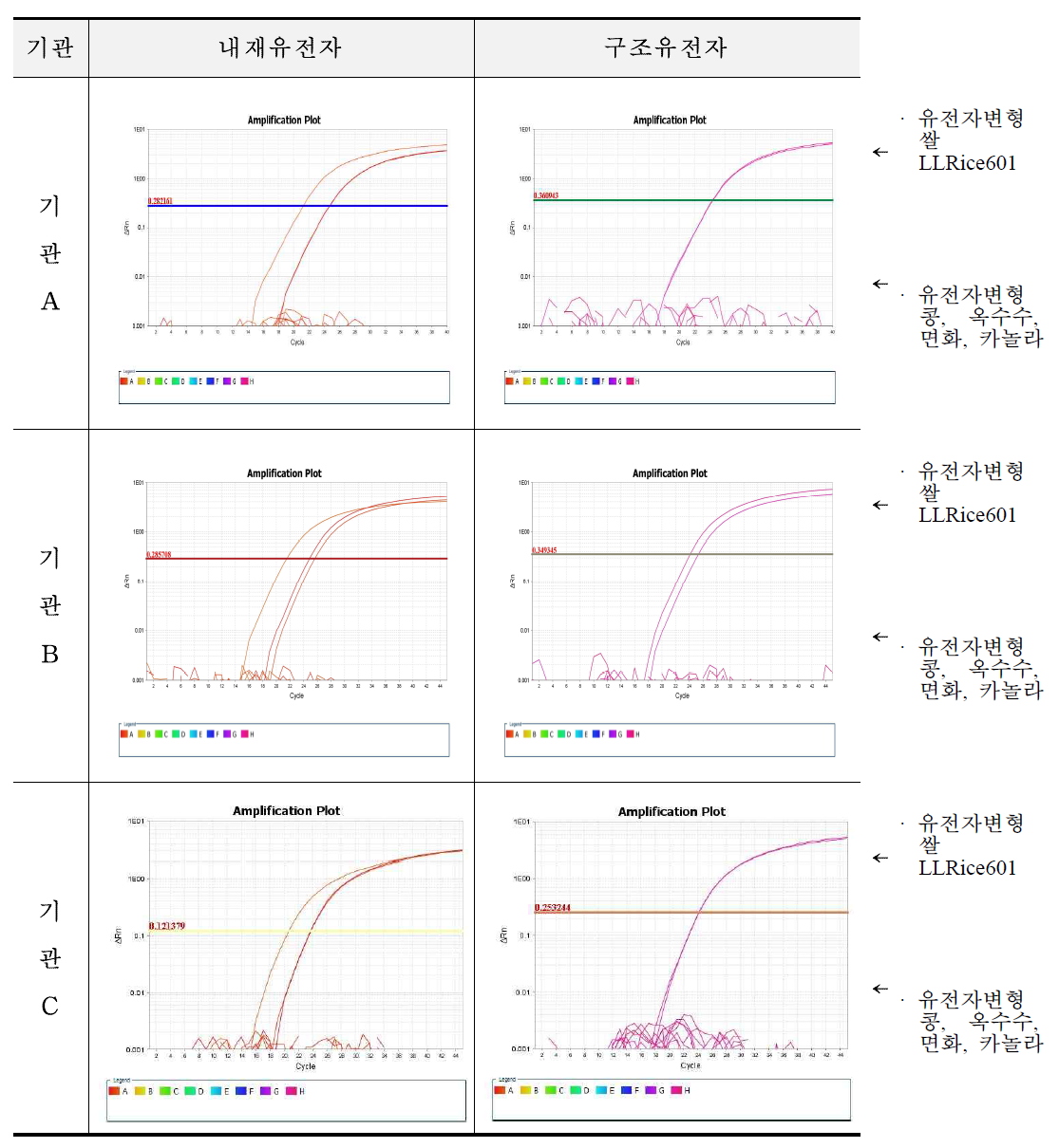 유전자변형 쌀 LLRice601 시험법 및 검사키트(PSP)의 유전자변형 콩, 옥수수, 면화, 카놀라에 대한 특이성 시험 결과