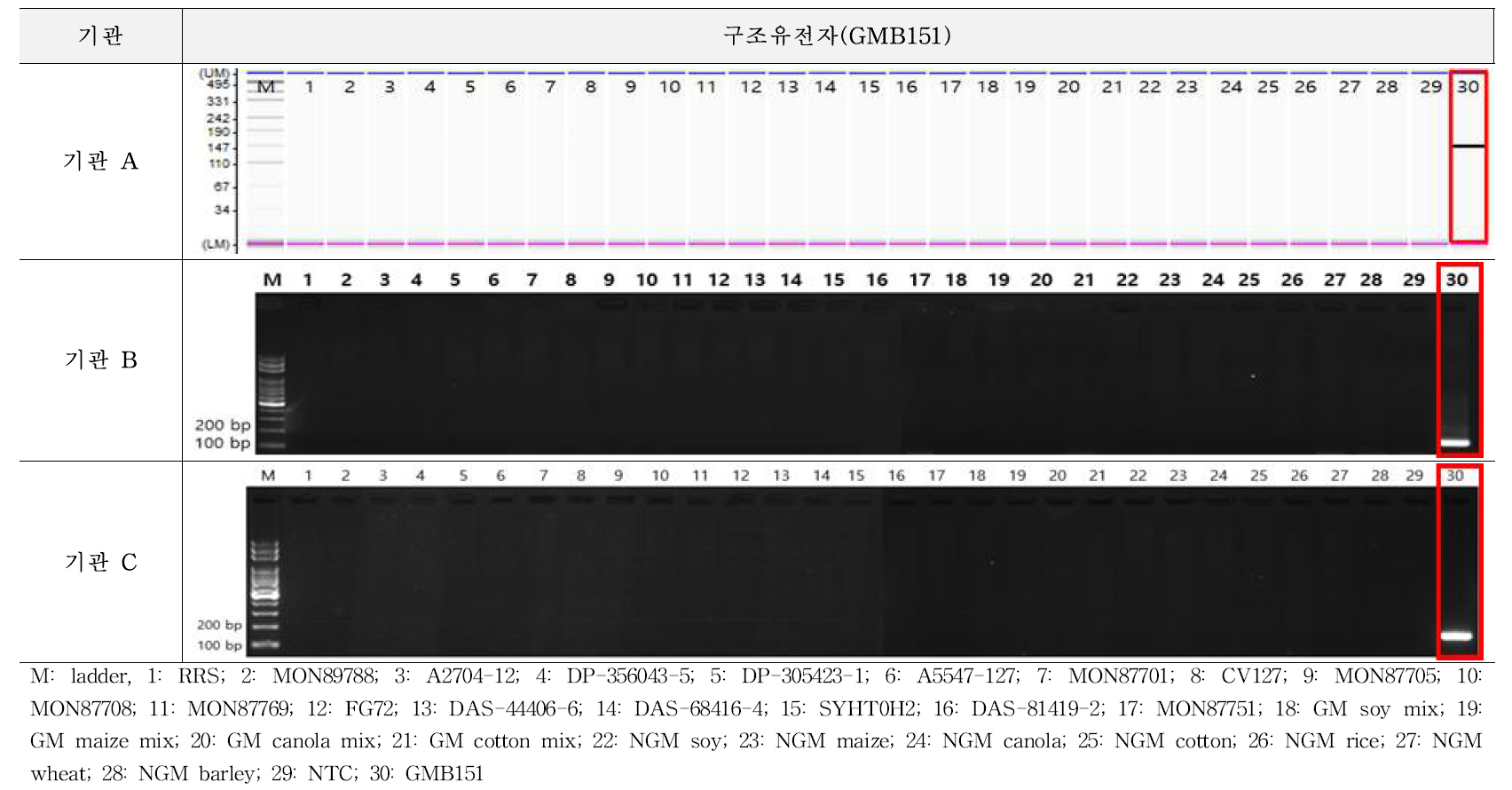유전자변형 콩 GMB151에 대한 시험법의 특이성 시험 결과