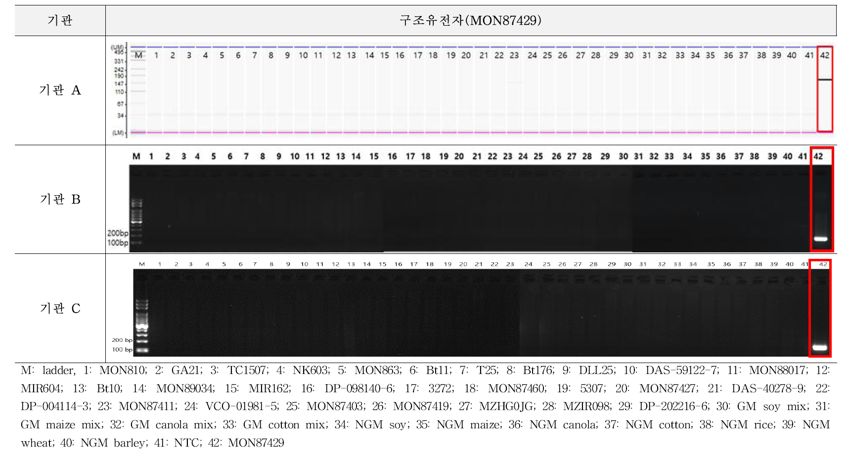 유전자변형 옥수수 MON87429에 대한 시험법의 특이성 시험 결과