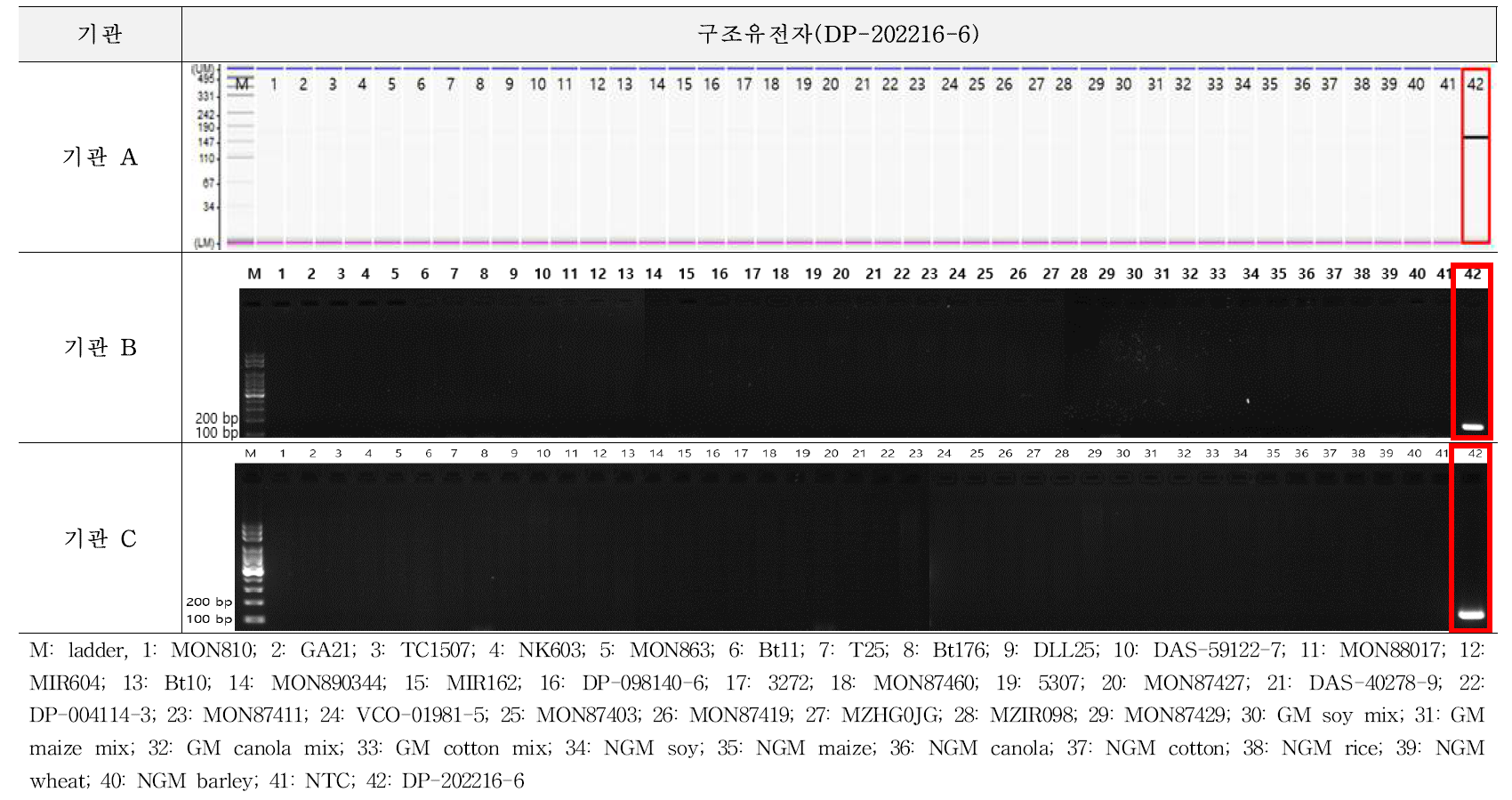 유전자변형 옥수수 DP-202216-6에 대한 시험법의 특이성 시험 결과