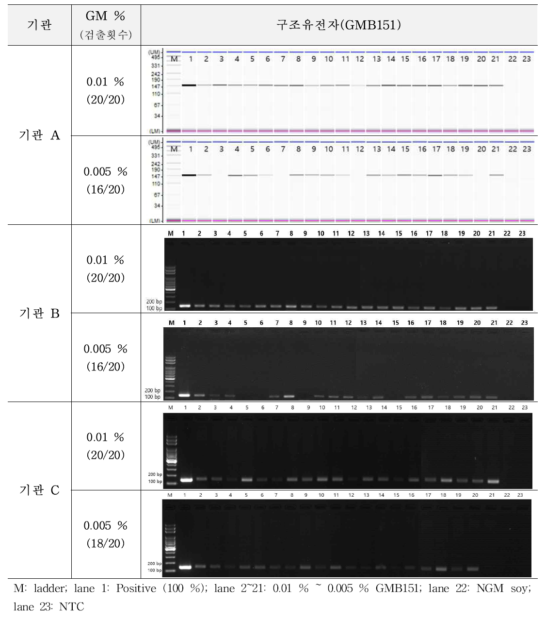 유전자변형 콩 GMB151에 대한 시험법의 민감도 반복 시험 결과