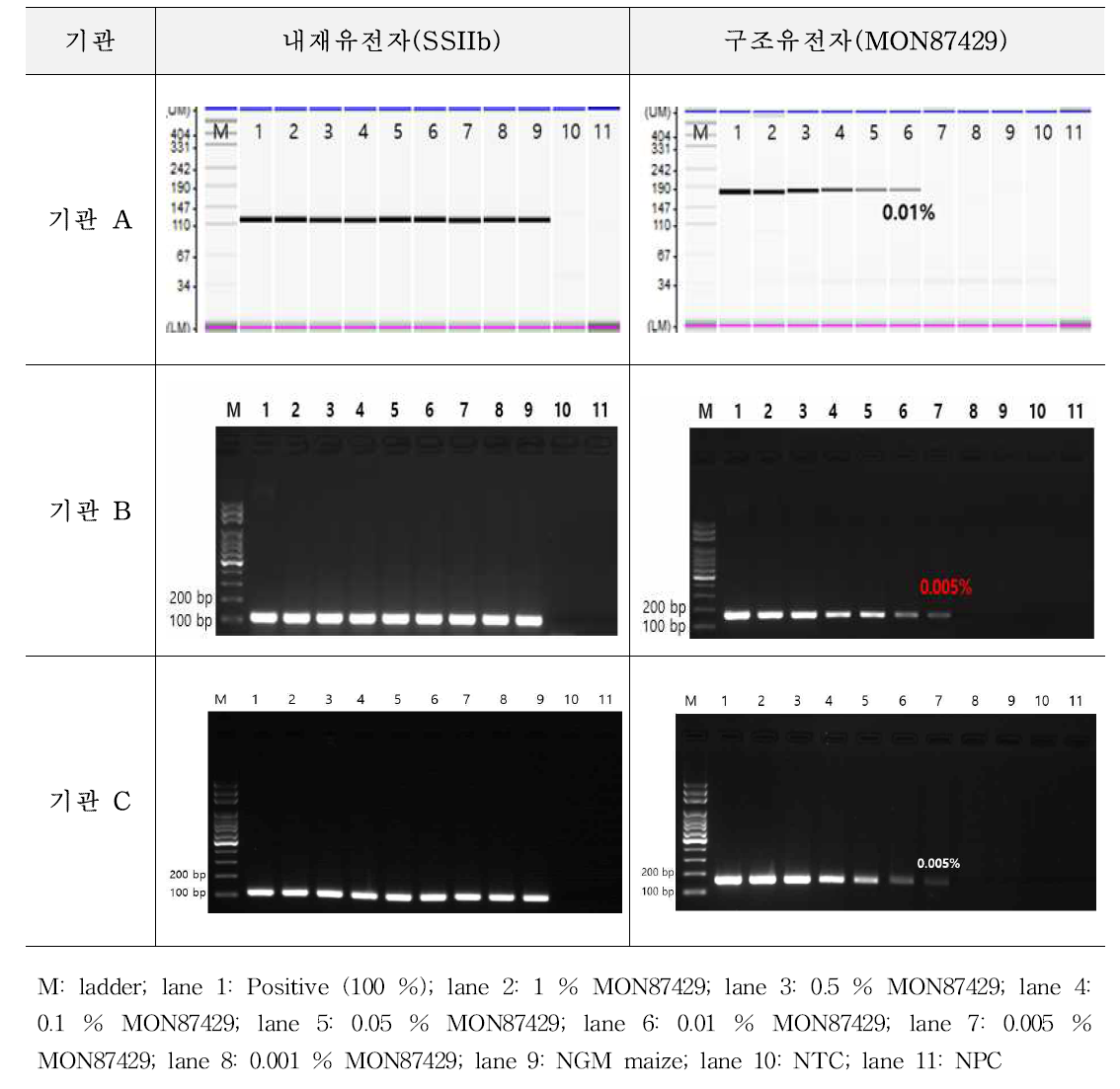 유전자변형 옥수수 MON87429에 대한 시험법의 민감도 1차 시험 결과